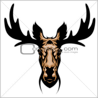 Moose head - isolated on white