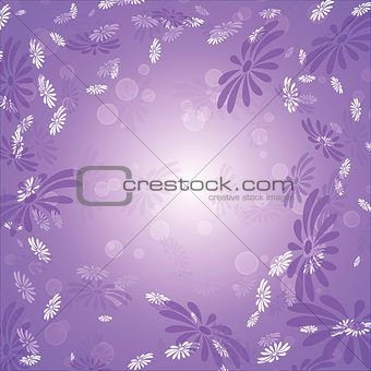 Daisies on a lilac background