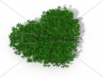 heart symbol with marijuana weeds. 3d illustration.