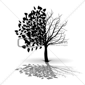 Plant tree silhouette