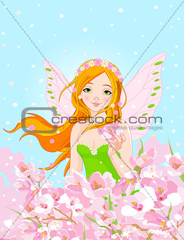 Spring Fairy and Blossom Flowers