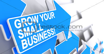 Grow Your Small Business - Label on Blue Arrow. 3D.