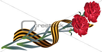 Red carnation flower and St. Georges ribbon. Symbol of Victory Day