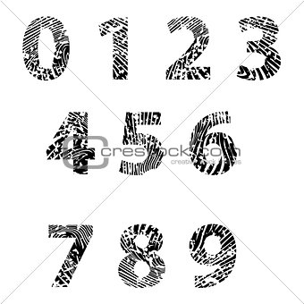 Embossed numbers for Education