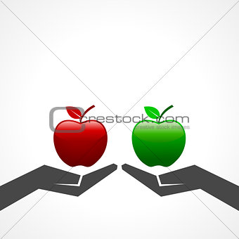 red and green apple on hand