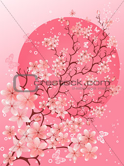 Beautiful spring. Cherry blossom background