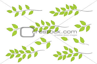 tree branches with green leaves