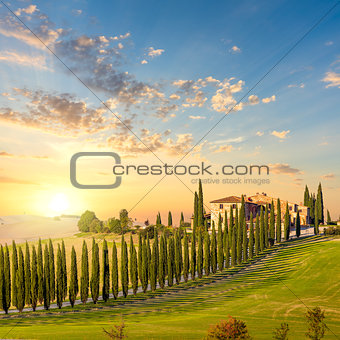 Tuscany at sundown - countryside road with trees and house