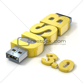 USB flash memory 3.0, made with the word USB. 3D