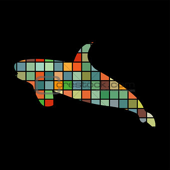 Shark predato color silhouette animal