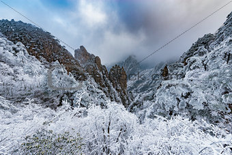 View of the frozen forest in Huangshan National park.