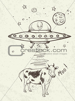UFO abducts a cow