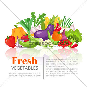Vegetables poster,scientific article, heading, or vegetarian menu design template. Fresh farm tomato, pepper, carrot, onion, garlic, pumpkin, potato, eggplant, corn, beet, zucchini, pea, cabbage, lettuce vegetable . Vector illustration.