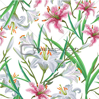 Seamless pattern with flowers. Iris. Lily. Vector. Hand drawn.