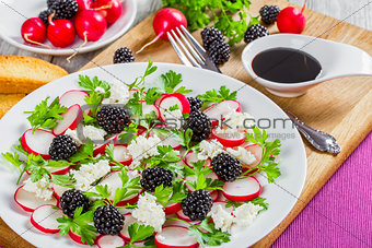 parsley, blackberry, radish,  goat cheese salad with toast