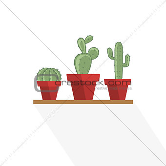 Cactus in a flower pot