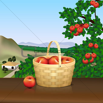basket with red apples and reflection