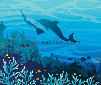 Dolphin and freediver. Coral reef and sea.