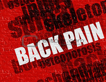 Medicine concept: Back Pain on Red Brickwall .