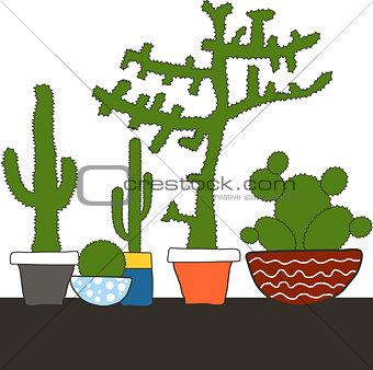 Colorful set with cactus in pot