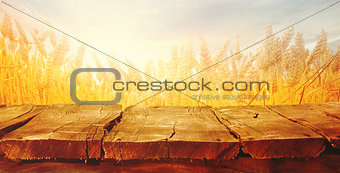Wheat field in summer with planks