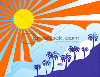 Summer color background with palm trees 