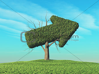 A green tree in the shape of an arrow
