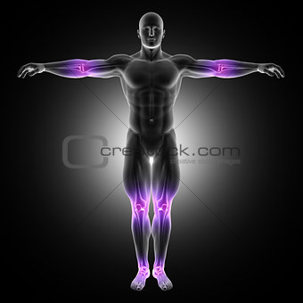 3D male medical figure in standing pose with joints highlighted