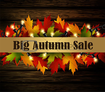 autumn special sale poster isolated