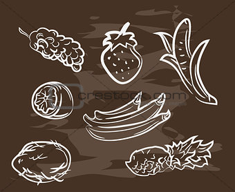 Collection of hand-drawn fruit on blackboard. Retro vintage style .