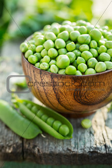 Fresh green peas in a bowl on old table