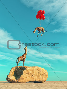 A giraffe standing on a large rock