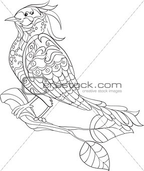 Fantasy bird. hand drawn doodle. Sketch for adult antistress coloring page