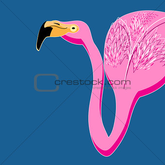 Vector portrait of pink flamingos 