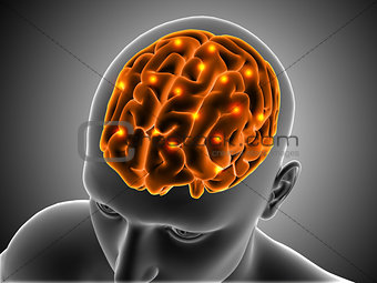 3D male figure with brain highlighted
