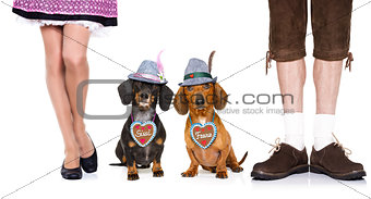 bavarian beer dachshund sausage dogs ,  couple of two 