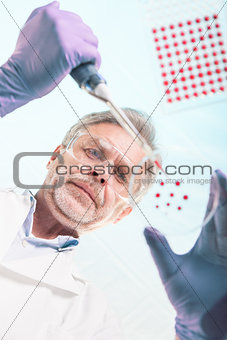 Senior life science researcher grafting bacteria.