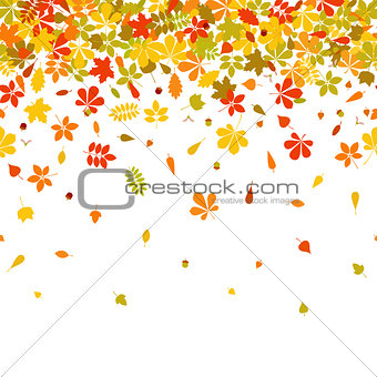 Seamless border Autumn falling leaf on white background.