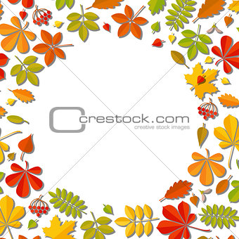 Autumn falling leaf isolated on white background.