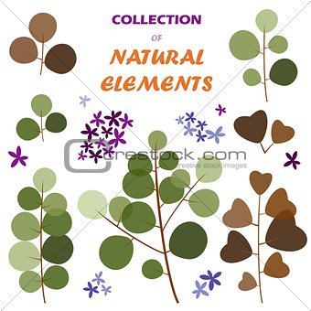 Collection of natural elements