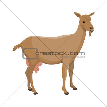 Vector illustration of a nanny goat