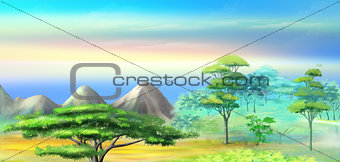 Landscape with Acacia Tree in Mountains at sunrise.
