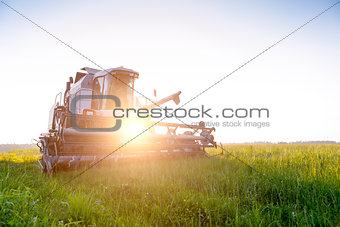 Photo of combine harvester in field at summer.