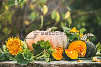 Organic raw pumpkins