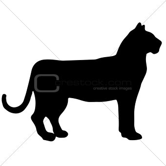 tiger black and white vector silhouette