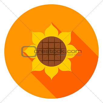 Sunflower Circle Icon