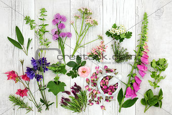 Herb and Flower Medicinal Selection