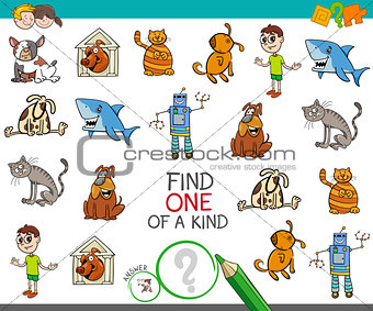 find one picture of a kind activity game
