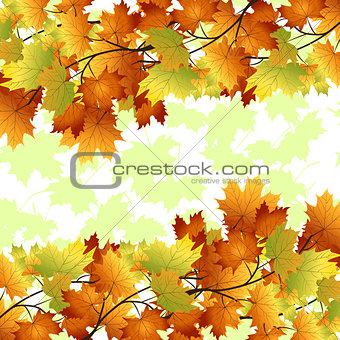 pattern with yellow and red leaves