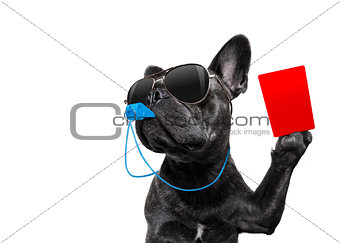 Referee dog with whistle